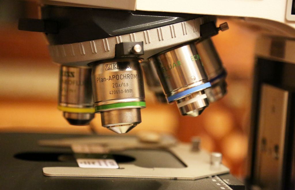 Axio Scope.A1 arrivato!